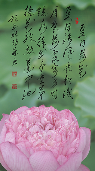 顾玉旺作品 《夏日荷花》释文：夏日清风长相识，月赏荷露寄方时。镜水捧出千重叶，挽花绽放莲中池。